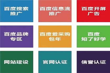 SEM代运营经典案例解析与启示
