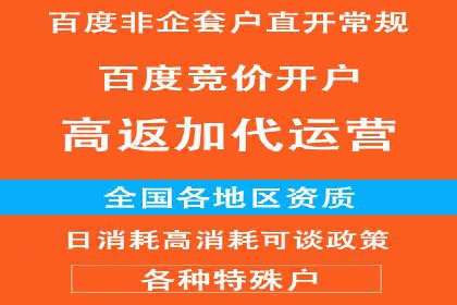 SEM推广优化中的关键词策略——以某品牌为例