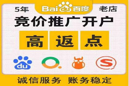 百度推广技巧分享：成功案例解析